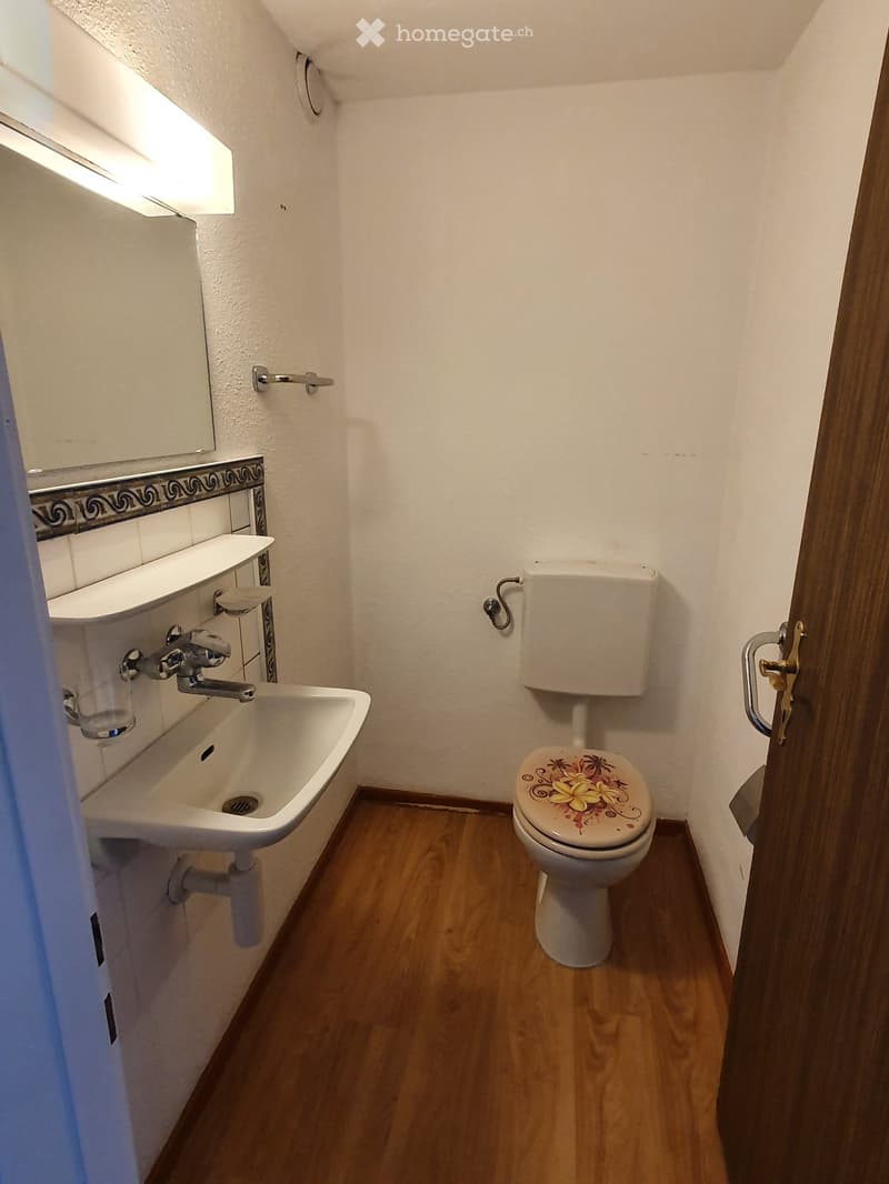 Small bathroom with wooden flooring, white walls, a toilet with a floral seat cover, a sink with a mirror above it, and a towel rack on the wall.