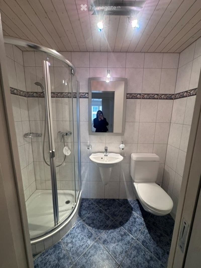 Modern bathroom with a glass-enclosed shower stall, a white sink, a toilet, and a mirror above the sink. The walls are tiled with a decorative border, and the floor has blue tiles.