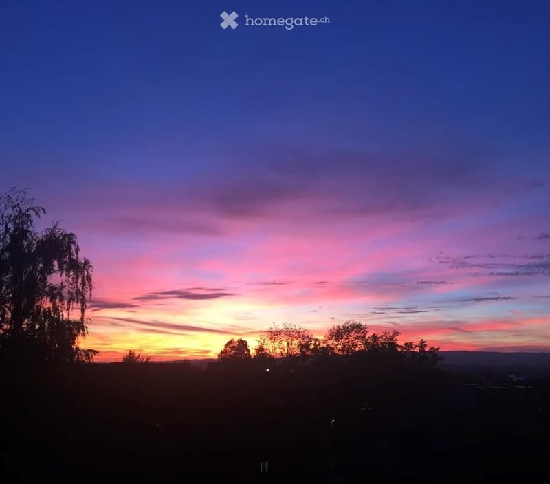 A serene sunset view from a garden or outdoor area, with vibrant pink, purple, and orange hues in the sky, silhouetted trees, and distant city lights.