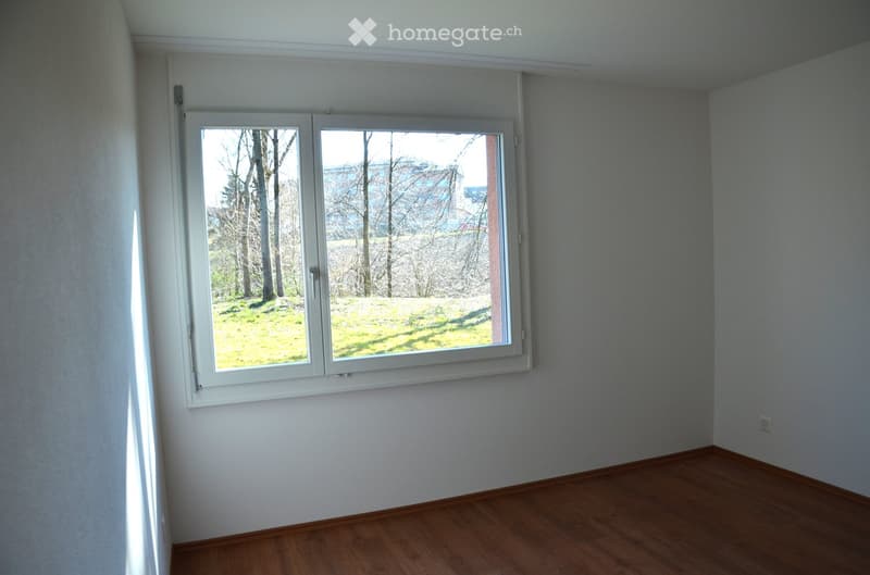 Empty room with light grey walls, wooden flooring, and a large window offering a view of a grassy area with trees.