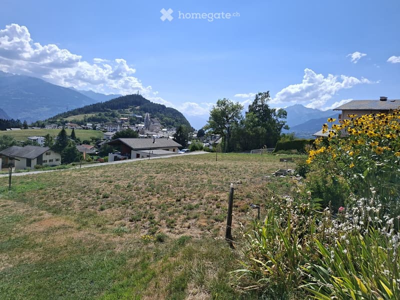 A grassy field with scattered flowers in the foreground, surrounded by houses and trees, with mountains in the background.