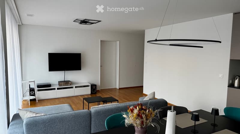 Modern living room with grey sectional sofa, coffee table, TV, entertainment unit, and decorative flower vase.