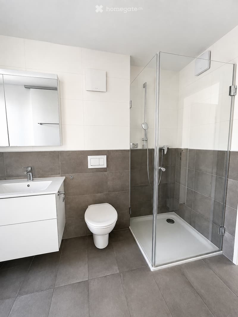 Modern bathroom with a white sink, mirror, toilet, and a glass-enclosed shower with a modern showerhead.