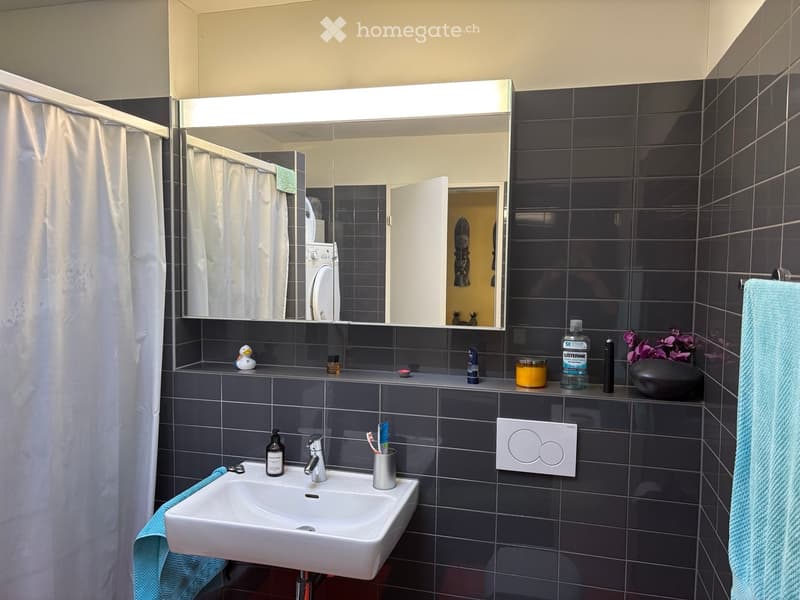 Modern bathroom with dark tiled walls, white sink, mirror with built-in lighting, and various toiletries on the counter.