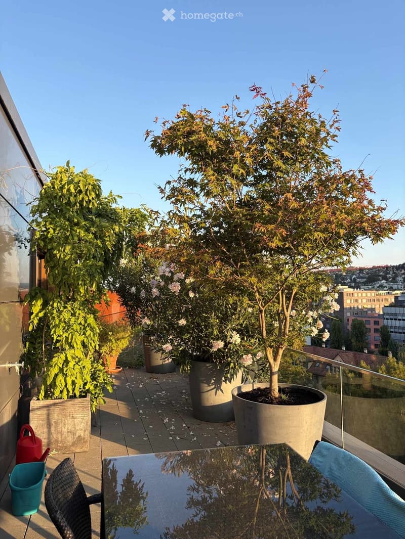 Balcony with a glass table, wicker chair, several potted trees, and a view of the city.