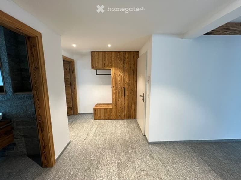 Empty hallway with wooden doors, built-in wooden closet, and carpeted floor.