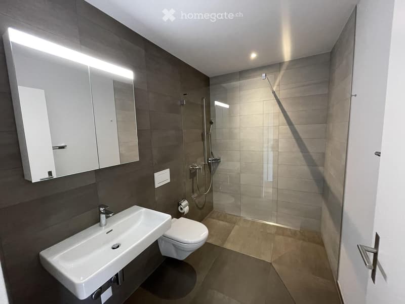 Modern bathroom with a white sink, toilet, large mirror with built-in cabinets, and a glass-enclosed shower area.