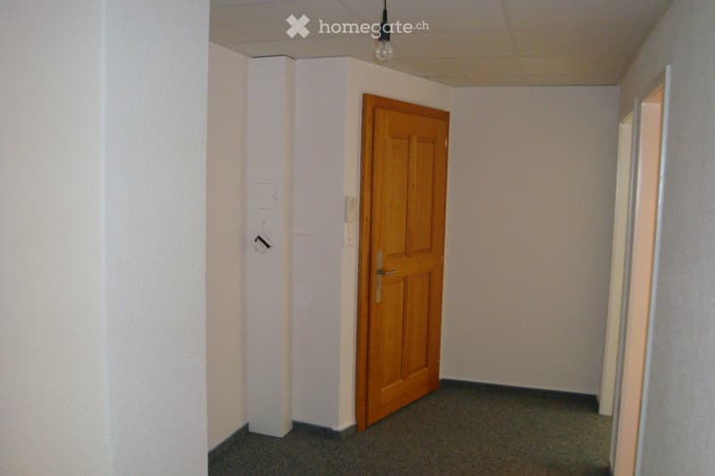 Empty hallway with white walls, grey carpeted floor, and a wooden door on the right side.