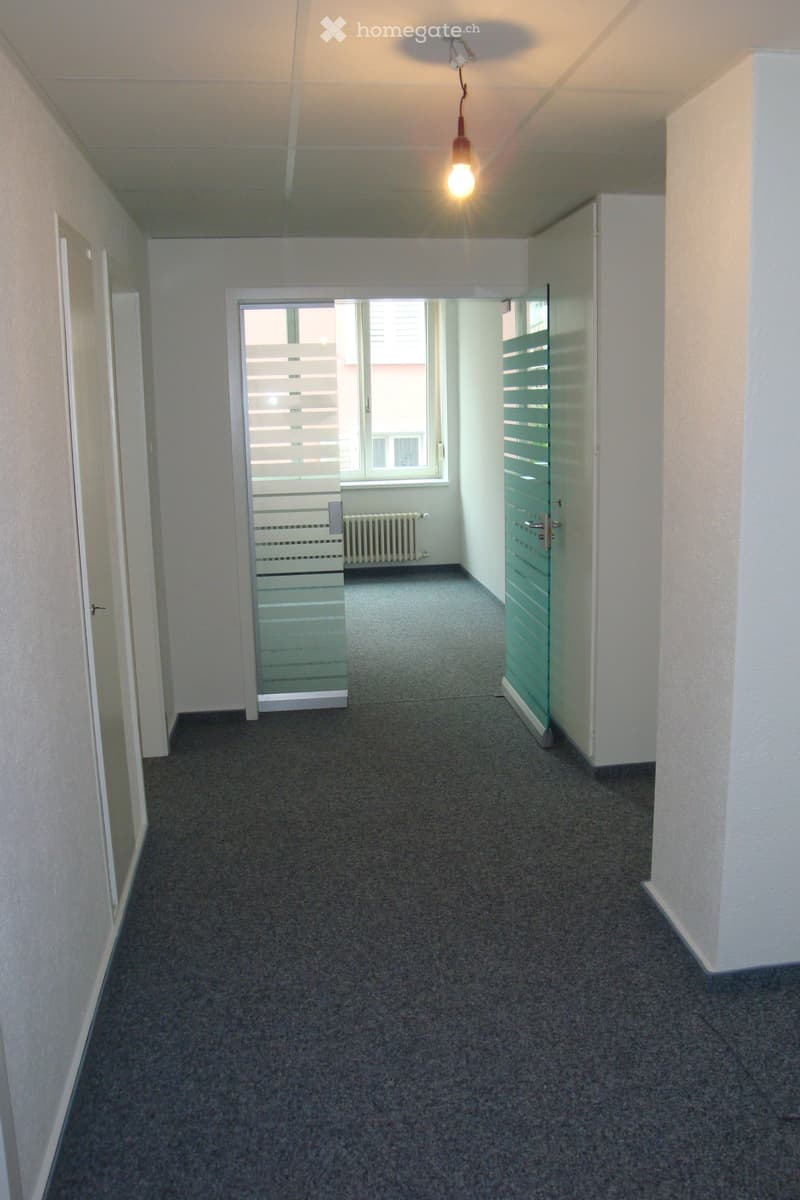 Empty hallway with grey carpeted floor, white walls, and a single hanging light fixture. A glass door leads to a room with a radiator and window.