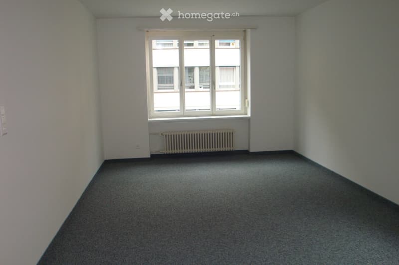 Empty room with light-colored walls, carpeted floor, and a large window with white frame and blinds. A radiator is placed below the window.