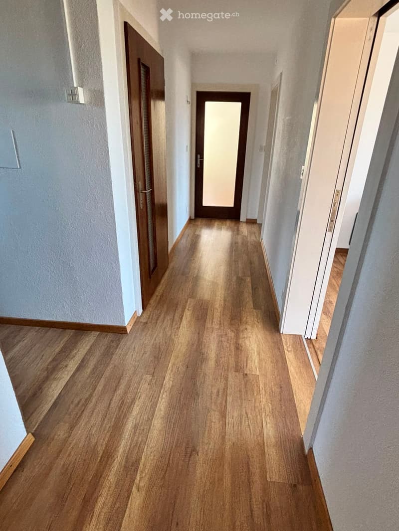 A long, narrow hallway with wooden flooring and white walls, featuring several doors and a light fixture on the left wall.