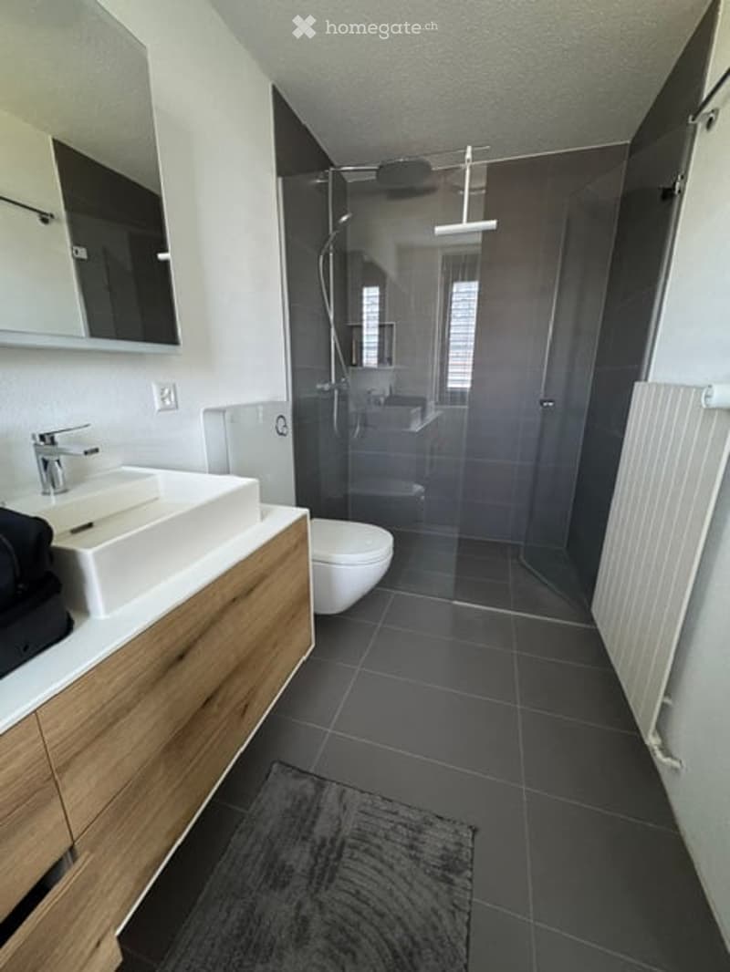 Modern bathroom with dark tiled floor, white sink with wooden cabinet, mirror, toilet, and glass-enclosed shower with a modern showerhead.