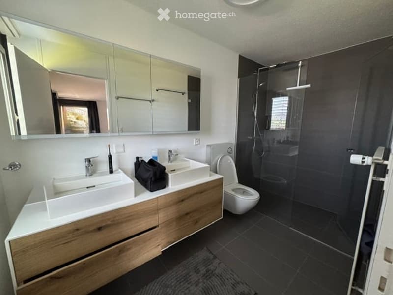 Modern bathroom with double sink vanity, large mirror, toilet, and walk-in shower with glass enclosure.