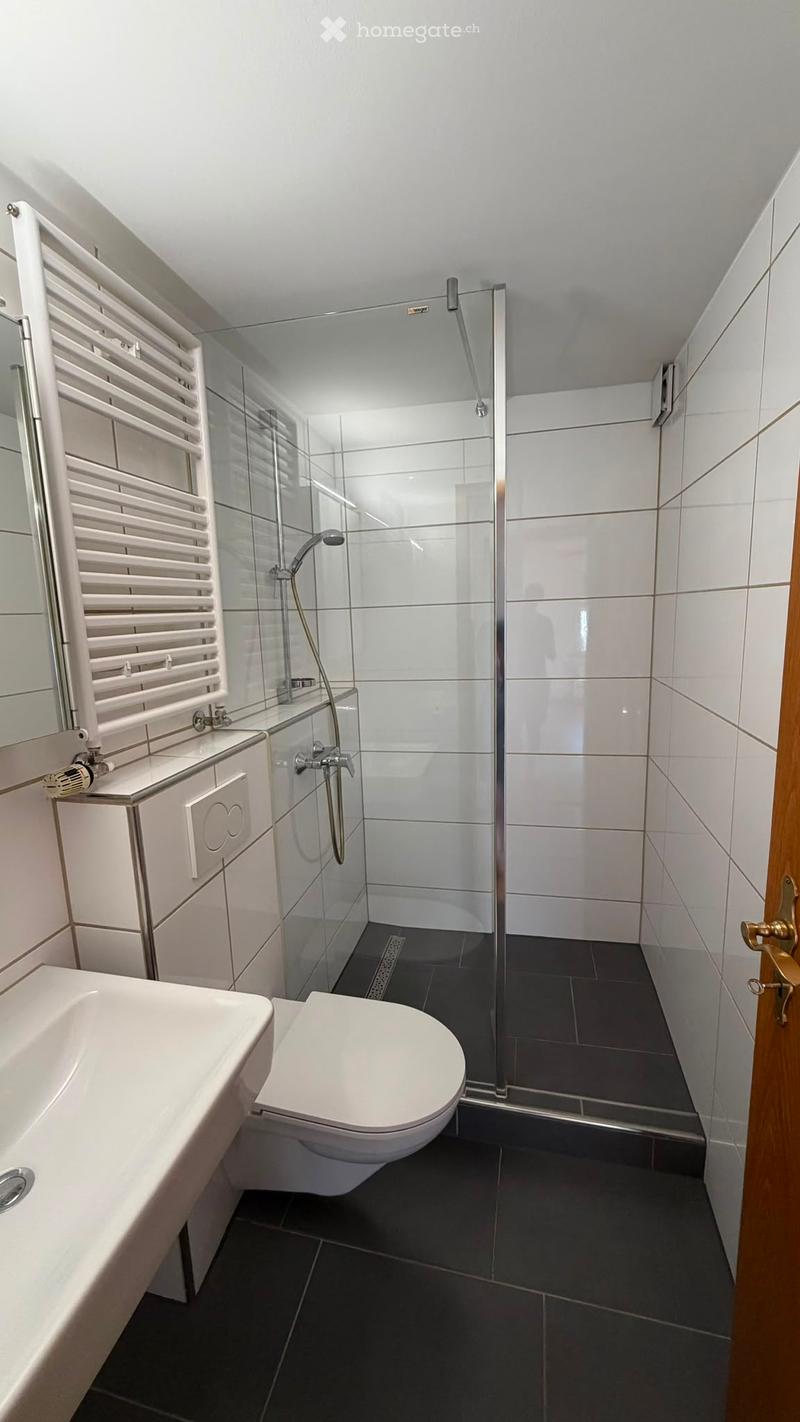 Modern bathroom with white tiles, a glass-enclosed shower, a toilet, a sink, and a radiator. The floor is dark grey tiles.