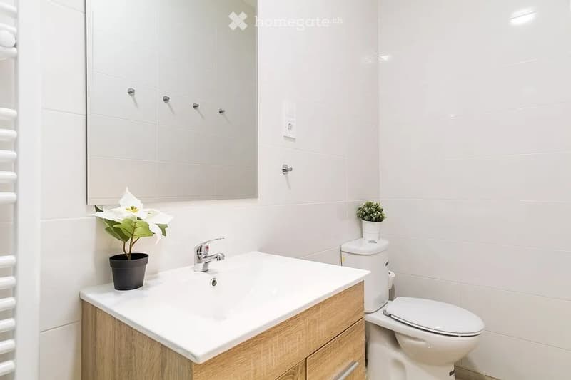Modern bathroom with white tiles, a wooden vanity with a sink, a toilet, a mirror, and small potted plants on the vanity and toilet tank.