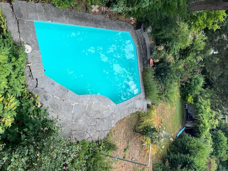 A small, rectangular swimming pool surrounded by a stone patio and lush greenery, with a grassy area and various plants nearby.