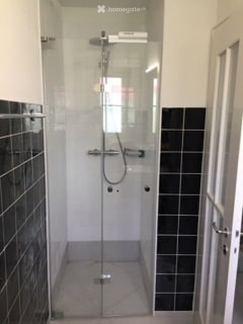 Modern shower stall with glass enclosure, black and white tiled walls, and a sleek showerhead.