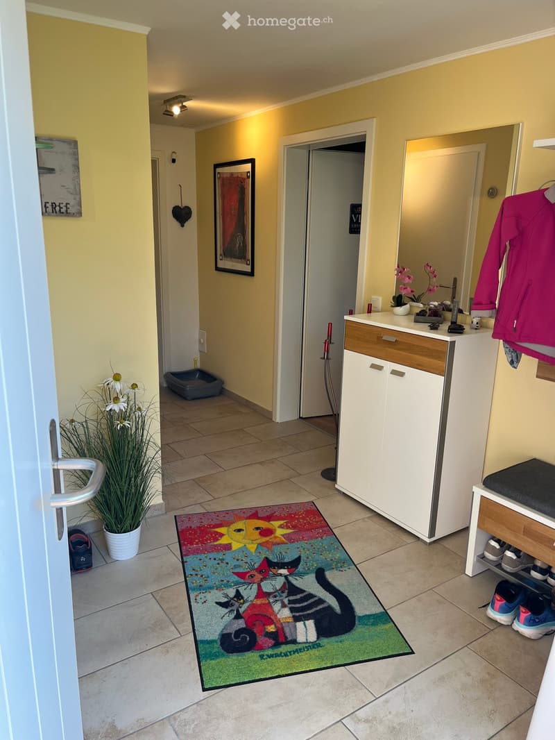 Bright hallway with tiled floor, colorful cat-themed rug, small potted plants, shoe rack, and coat rack with jackets. A pet litter box is visible in the background.