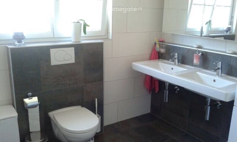 Modern bathroom with dark grey tiles, white fixtures, double sink, toilet, and a small plant on the windowsill.