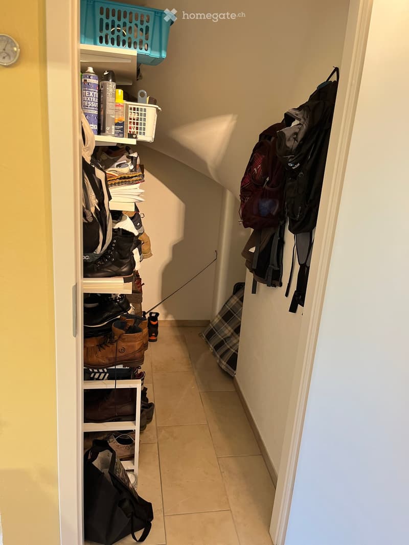 A narrow hallway with a shoe rack on the left and a coat rack on the right, featuring various shoes, bags, and storage items.