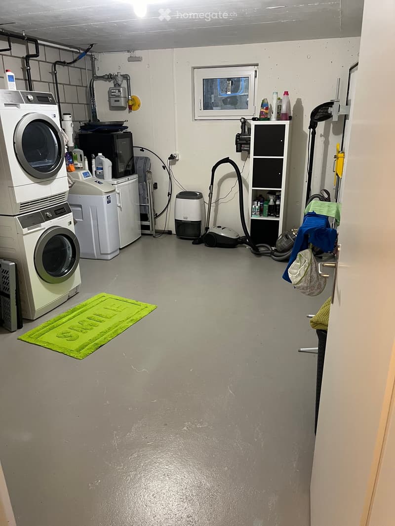Laundry room with washing machine, dryer, refrigerator, vacuum cleaner, shelf, and a green rug.