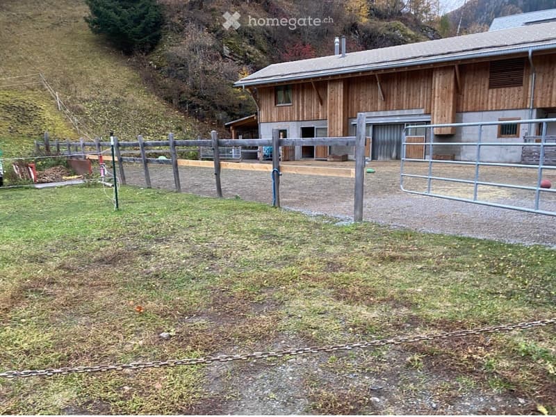 A fenced outdoor area with a wooden fence, a gated entrance, and a wooden house in the background. The ground is covered with grass and gravel, and there is a chain attached to the gate.