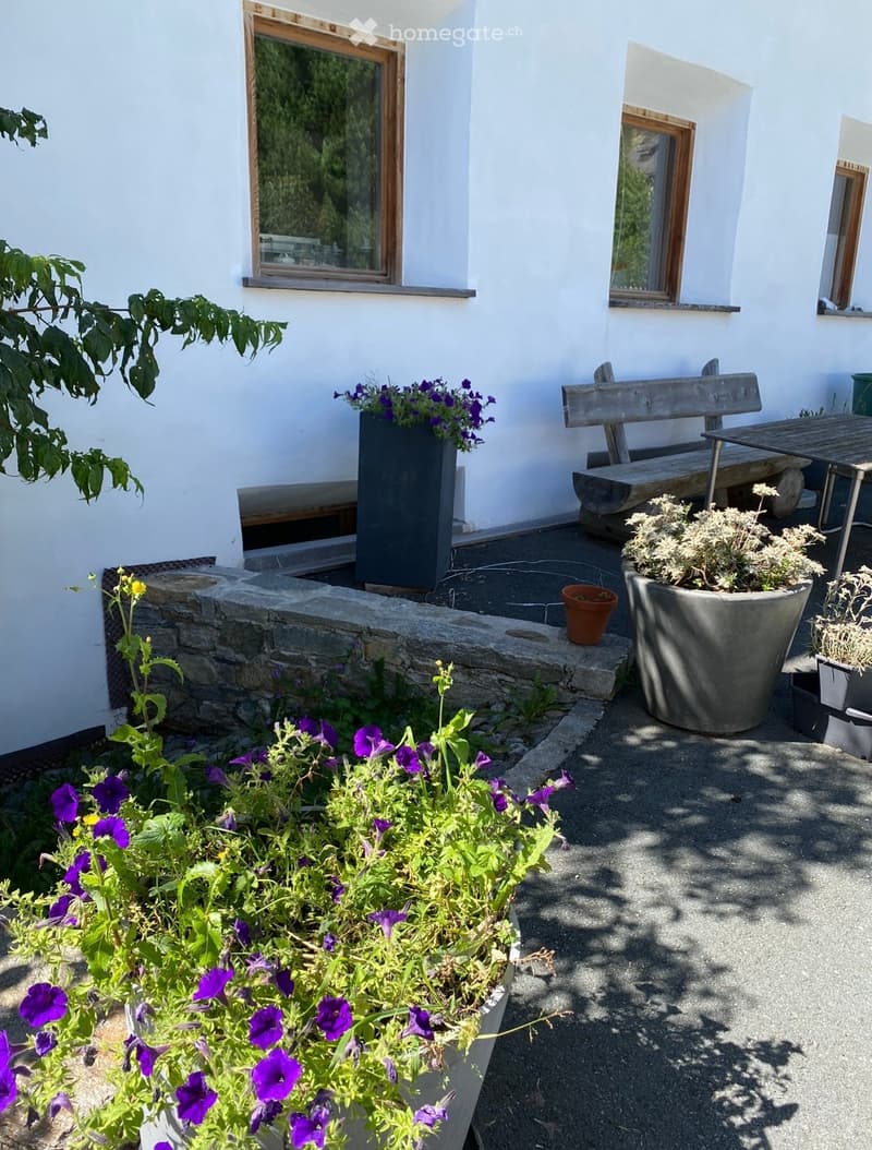 Garden area with a stone bench, wooden bench, wooden table, and various potted plants including purple flowers and shrubs.