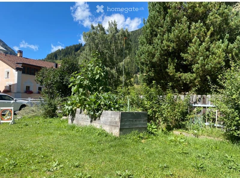 Lush garden with green grass, wooden raised beds, and surrounding trees, with a house and mountains in the background.