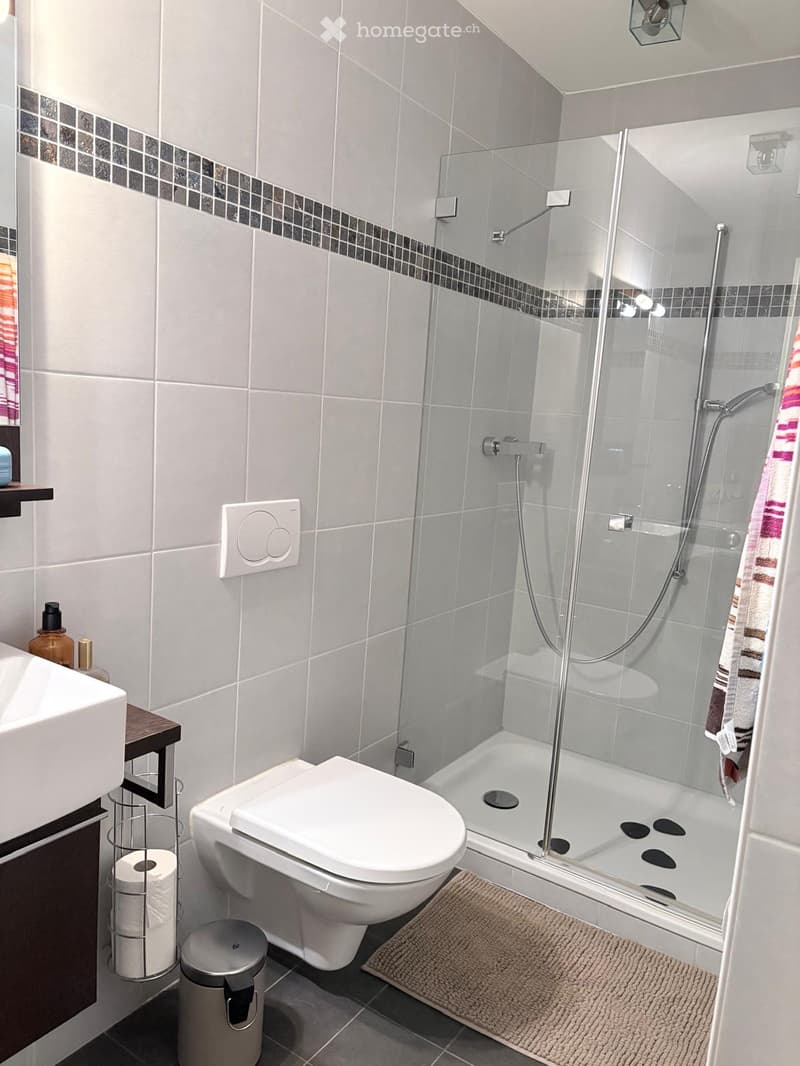 Modern bathroom with a white toilet, sink, and glass-enclosed shower. Features a beige rug, a toilet paper holder, and a trash bin.