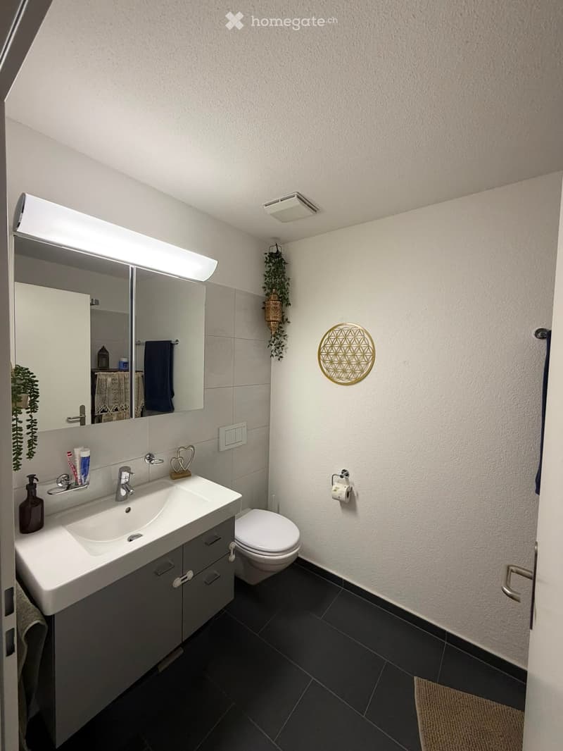 Modern bathroom with white sink, toilet, mirror, and dark tiled floor.