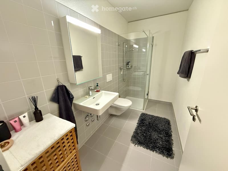 Modern bathroom with a white sink, toilet, glass-enclosed shower, and a large mirror with built-in lighting. Includes a wooden cabinet with toiletries, a dark towel, and a black shag rug on the floor.