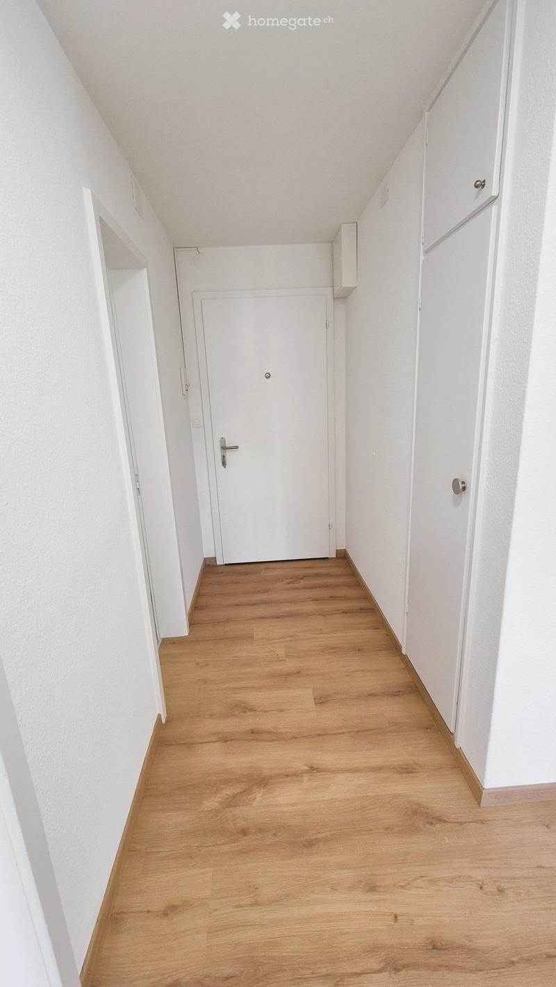A narrow hallway with light wooden flooring and white walls, featuring a closed white door at the end and a small white cabinet on the right side.