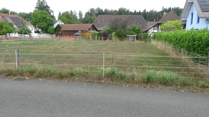 A fenced plot of land with sparse grass and weeds, surrounded by residential houses and trees.