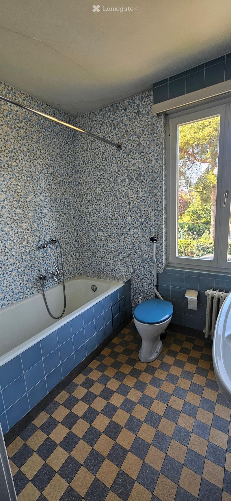 Bathroom with blue and white patterned tiles, a bathtub, a toilet with a blue seat, a radiator, and a window showing greenery outside.