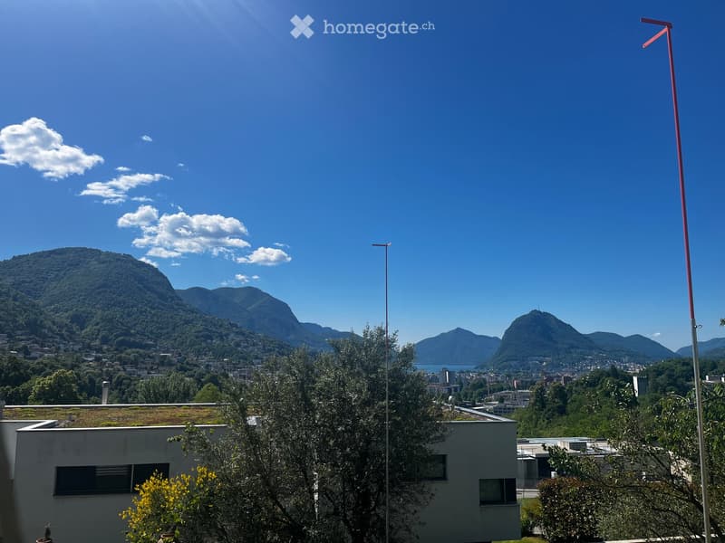 A scenic view of a cityscape with mountains in the background, featuring a rooftop garden with trees and shrubs.