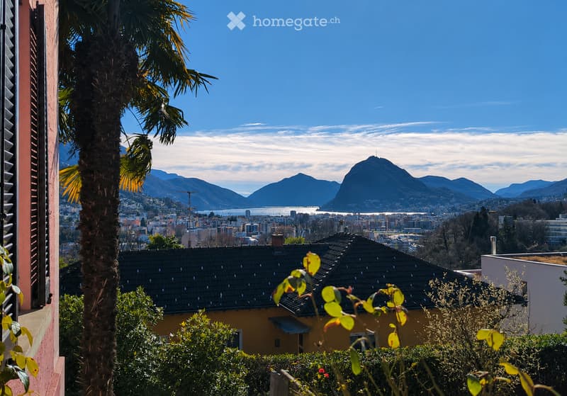 Balcony view overlooking a cityscape with mountains, a lake, and a palm tree in the foreground.