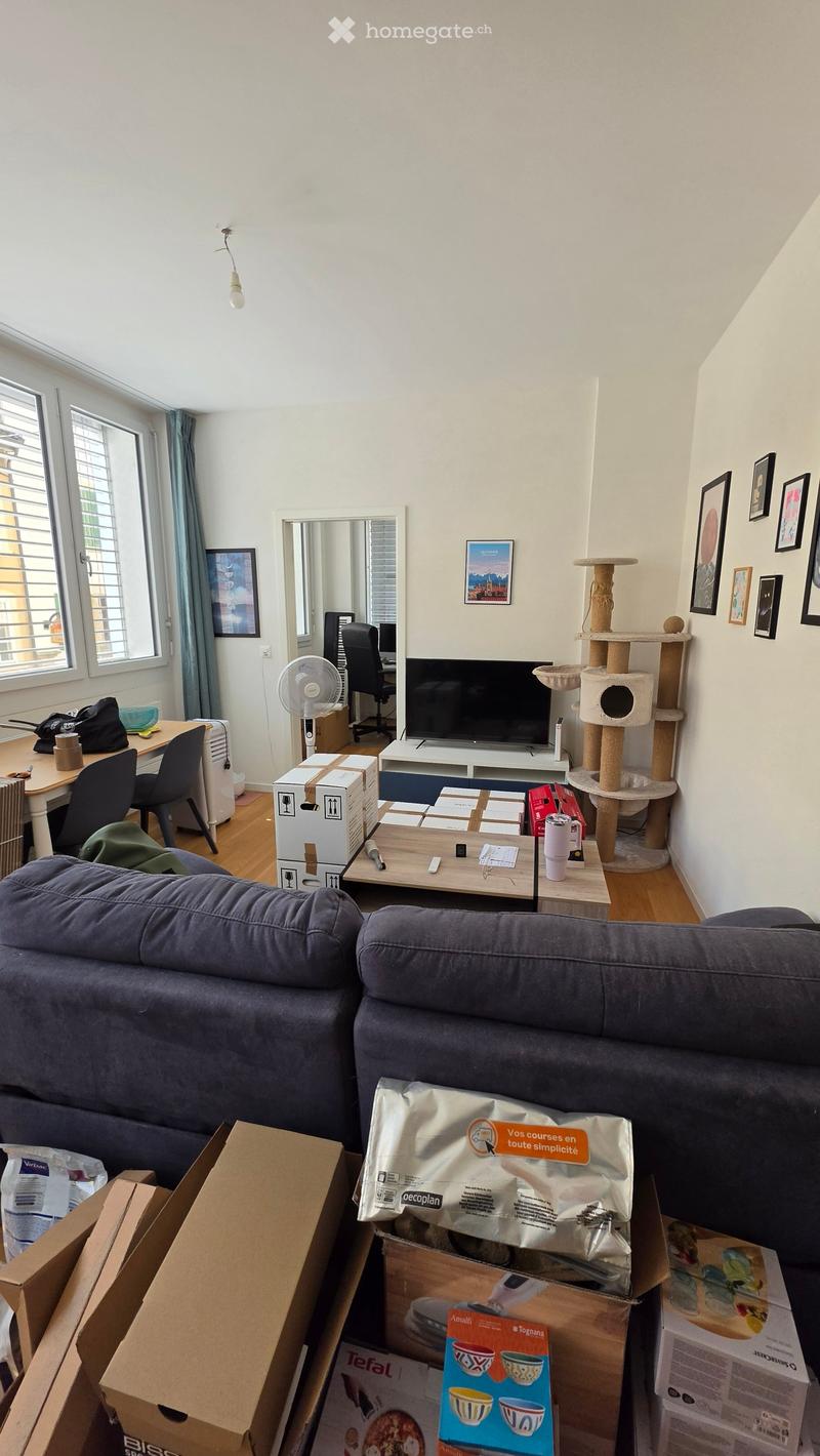 Living room with a grey sofa, coffee table, cat tree, fan, desk with laptop, television, and several boxes scattered around.