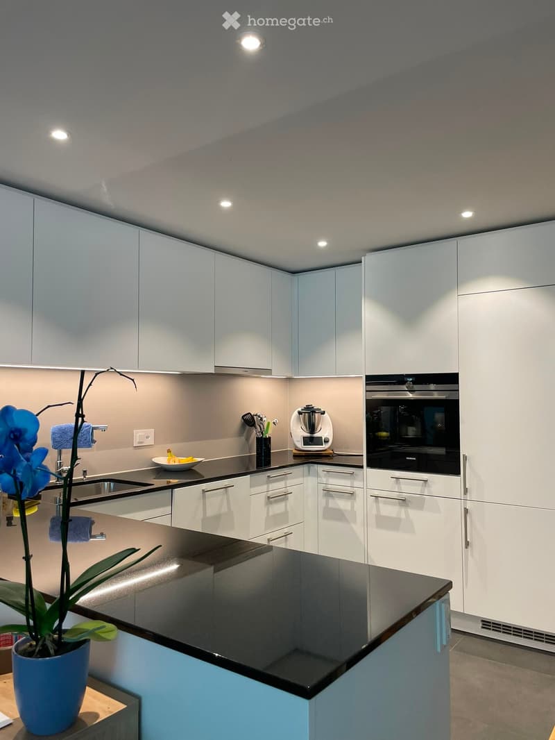 Modern kitchen with white cabinets, black countertops, and stainless steel appliances. Features a sink, faucet, oven, blender, bowl, flower pot, and towel.