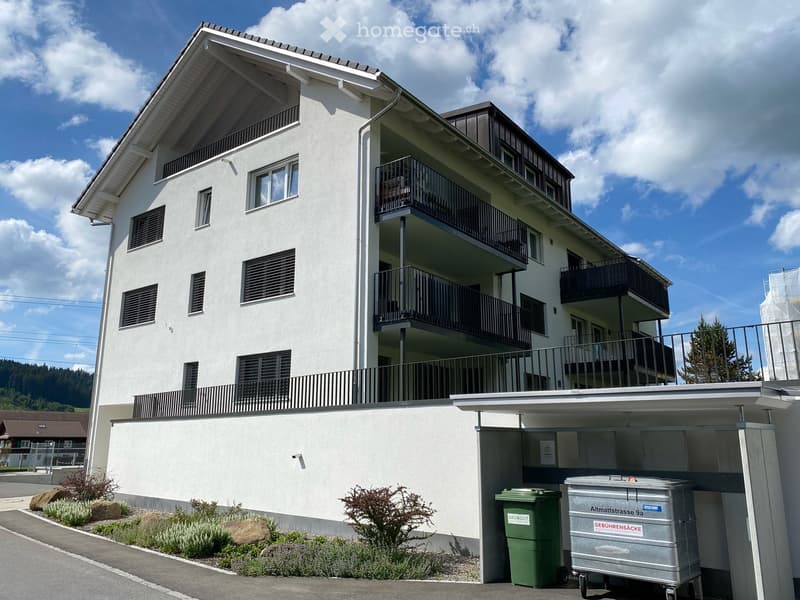 4½-Zimmer-Wohnung in Mehrfamilienhaus (4)
