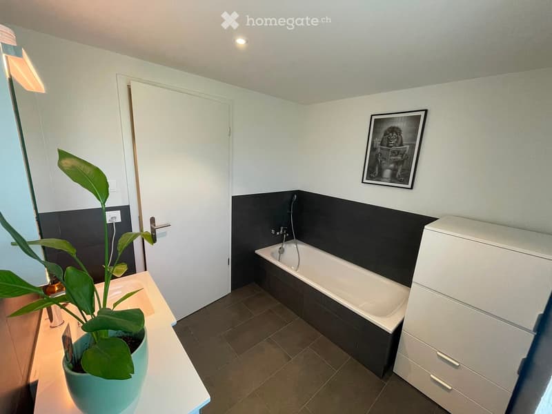 Modern bathroom with a bathtub, sink, white cabinet, and a potted plant on the sink counter. The walls are painted in a two-tone design with dark lower sections and light upper sections.