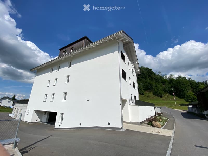 4½-Zimmer-Wohnung in Mehrfamilienhaus (3)