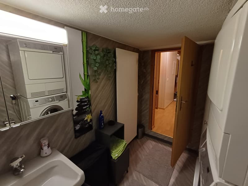 Bathroom with a sink, mirror, washing machine, and a small towel rack. A decorative plant is placed on the wall.