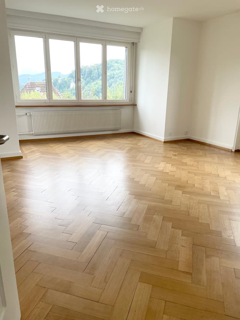 Empty room with light wooden herringbone flooring, white walls, large windows with a scenic view, and a radiator below the windows.