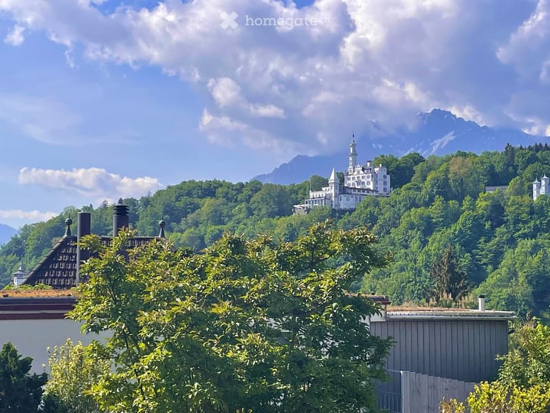 A scenic view of a large, white castle perched atop a lush, green hill surrounded by dense forest, with a backdrop of majestic mountains under a partly cloudy sky.