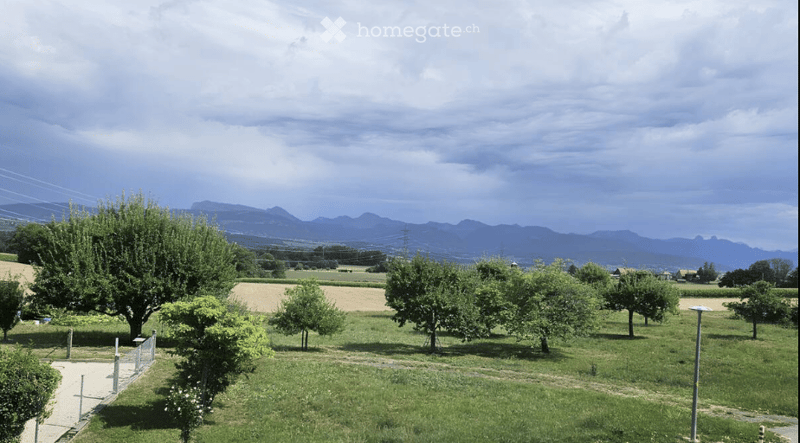 A peaceful garden area with neatly arranged trees and shrubs, surrounded by open fields and distant mountains under a partly cloudy sky.