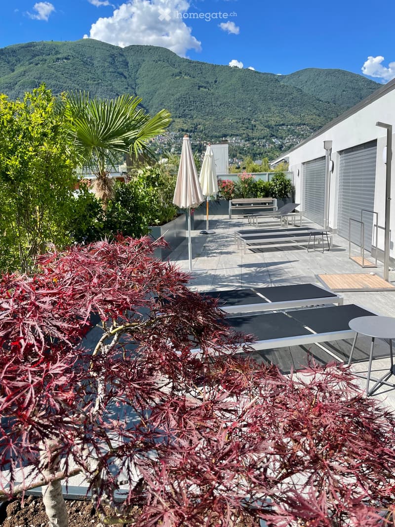 Die grosse Dachterrasse umgibt den Wohnbereich auf drei Seiten