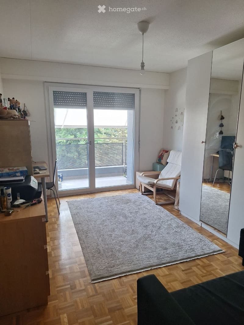 A modern living room with wooden flooring, a large grey rug, a dark sofa, a white armchair, a small table, and a sliding glass door leading to a balcony.