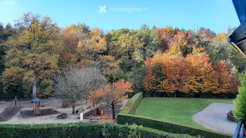 A view of a park-like garden area with autumn-colored trees, a small playground, picnic tables, and a paved pathway.