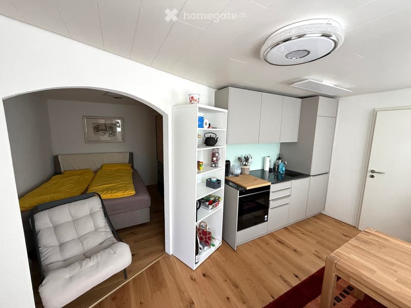 A compact studio apartment with a bed, sofa, kitchen area, and shelving unit. The space features light-colored cabinets, a wooden floor, and a modern ceiling light.