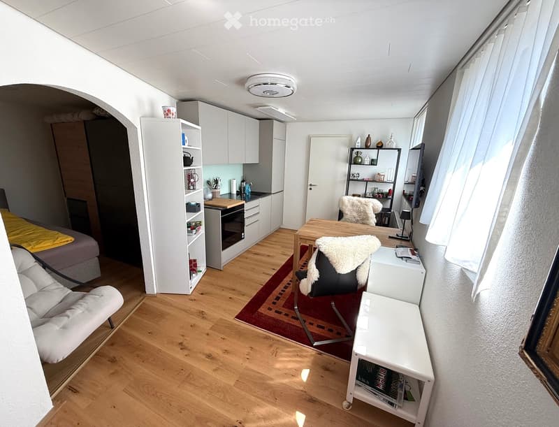 A modern, compact studio apartment with a futon, sofa, dining table, kitchen area, and shelves. The space features wooden flooring, white walls, and large windows with sheer curtains.